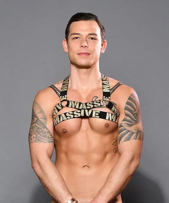 MASSIVE Radiant Harness