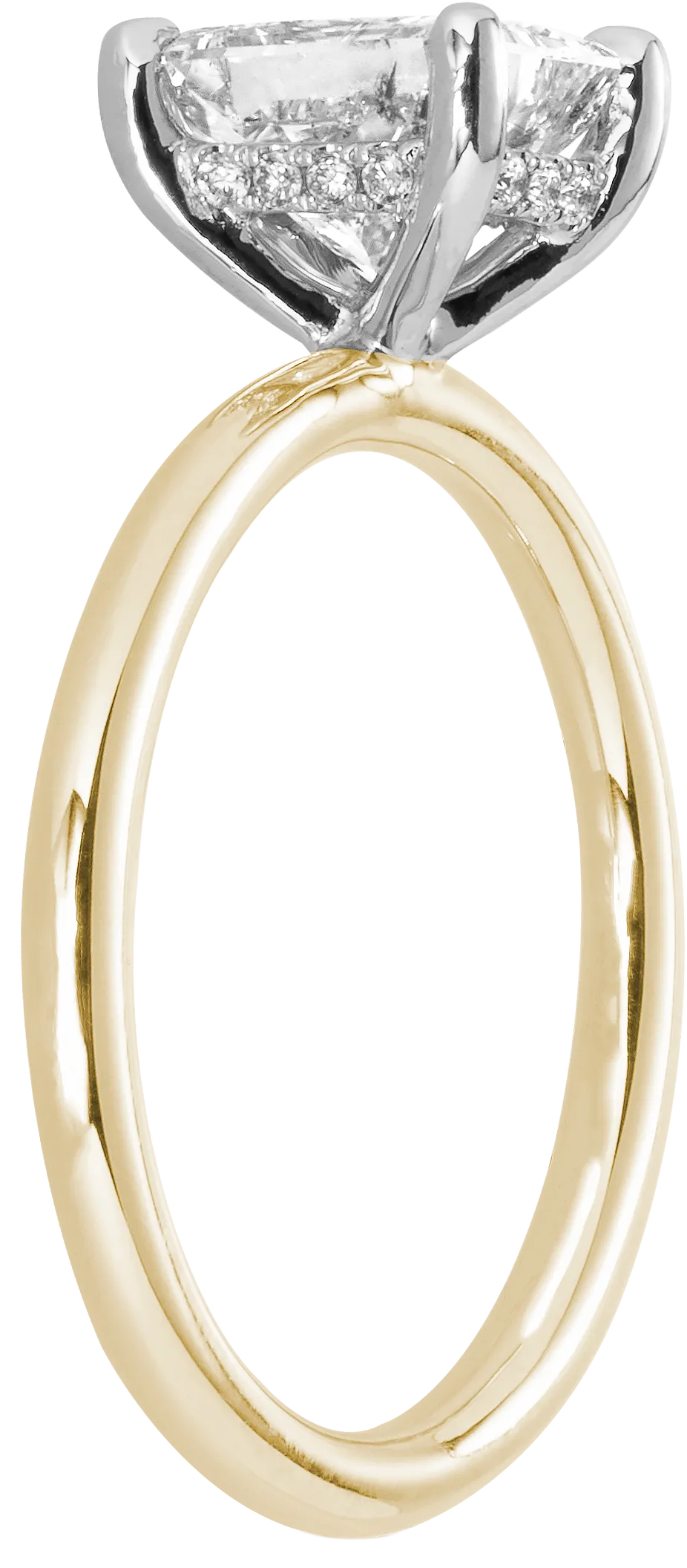 The Signature Solitaire   Hidden Halo | Radiant
